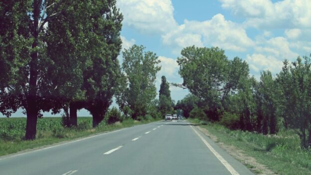 Avize drumuri naționale
